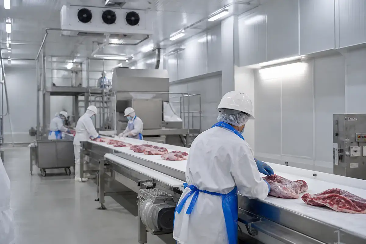 Азық-түлік өңдеу | Arteco New Materials Technology (Kazakhstan) Group Ltd. Азық-түлік өңдеу — Meat — азық-түлік өндірісі 11 | Arteco New Materials Technology (Kazakhstan) Group Ltd.