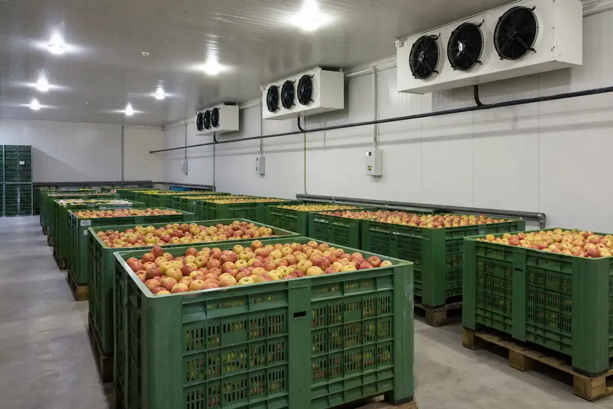 Жеміс-көкөніс сақтау | Arteco New Materials Technology (Kazakhstan) Group Ltd. Жеміс-көкөніс сақтау — Vegetables — панельді біріктіру түйіні 03 | Arteco New Materials Technology (Kazakhstan) Group Ltd.